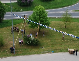 Maibaum_47