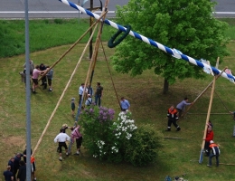 Maibaum_49