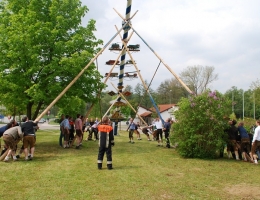 Maibaum_54