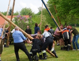 Maibaum_58