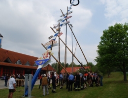 Maibaum_60