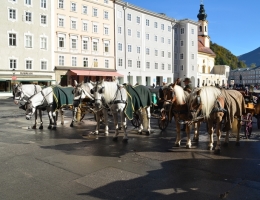 Ausflug_Salzburg_Bild_13