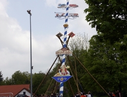 Maibaum_27