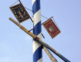 Maibaum_29