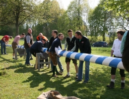 Maibaum 2017 062.JPG