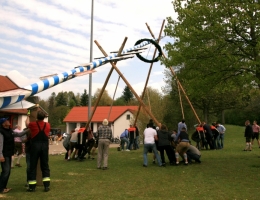 Maibaum 2017 081 b.JPG