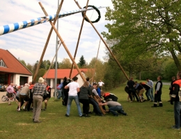 Maibaum 2017 085 b.JPG