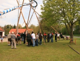Maibaum 2017 087.JPG