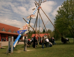 Maibaum 2017 095 b.JPG