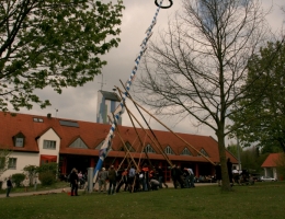 Maibaum 2017 098 b.JPG