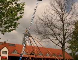 Maibaum 2017 100 b.JPG