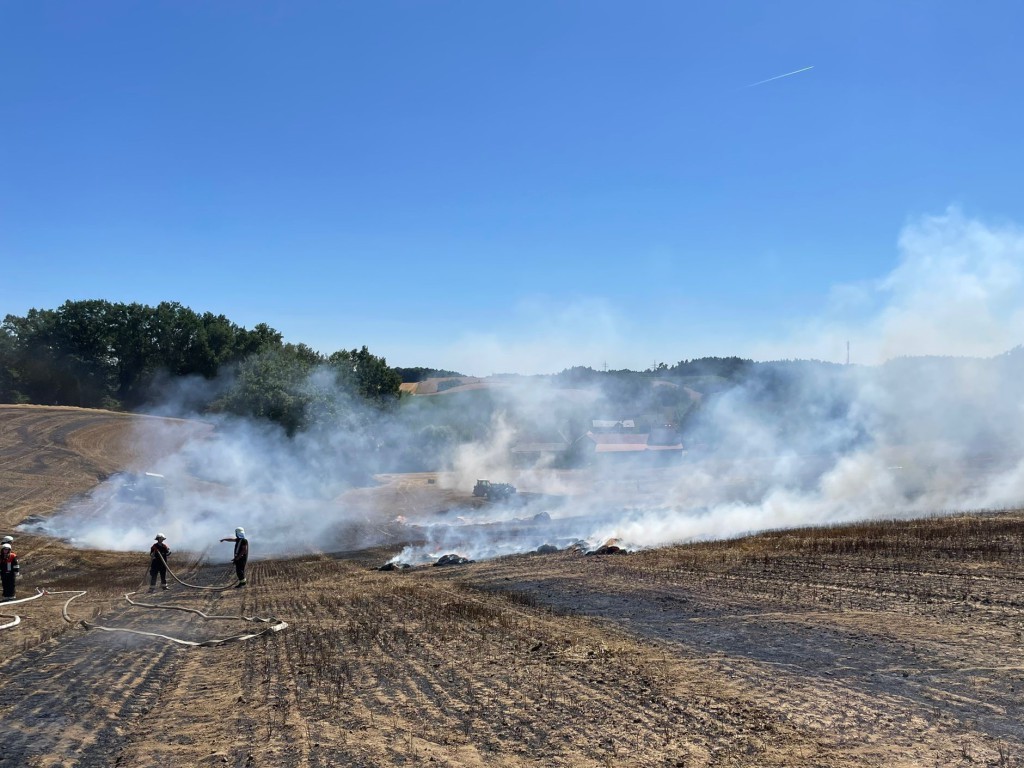 Brand